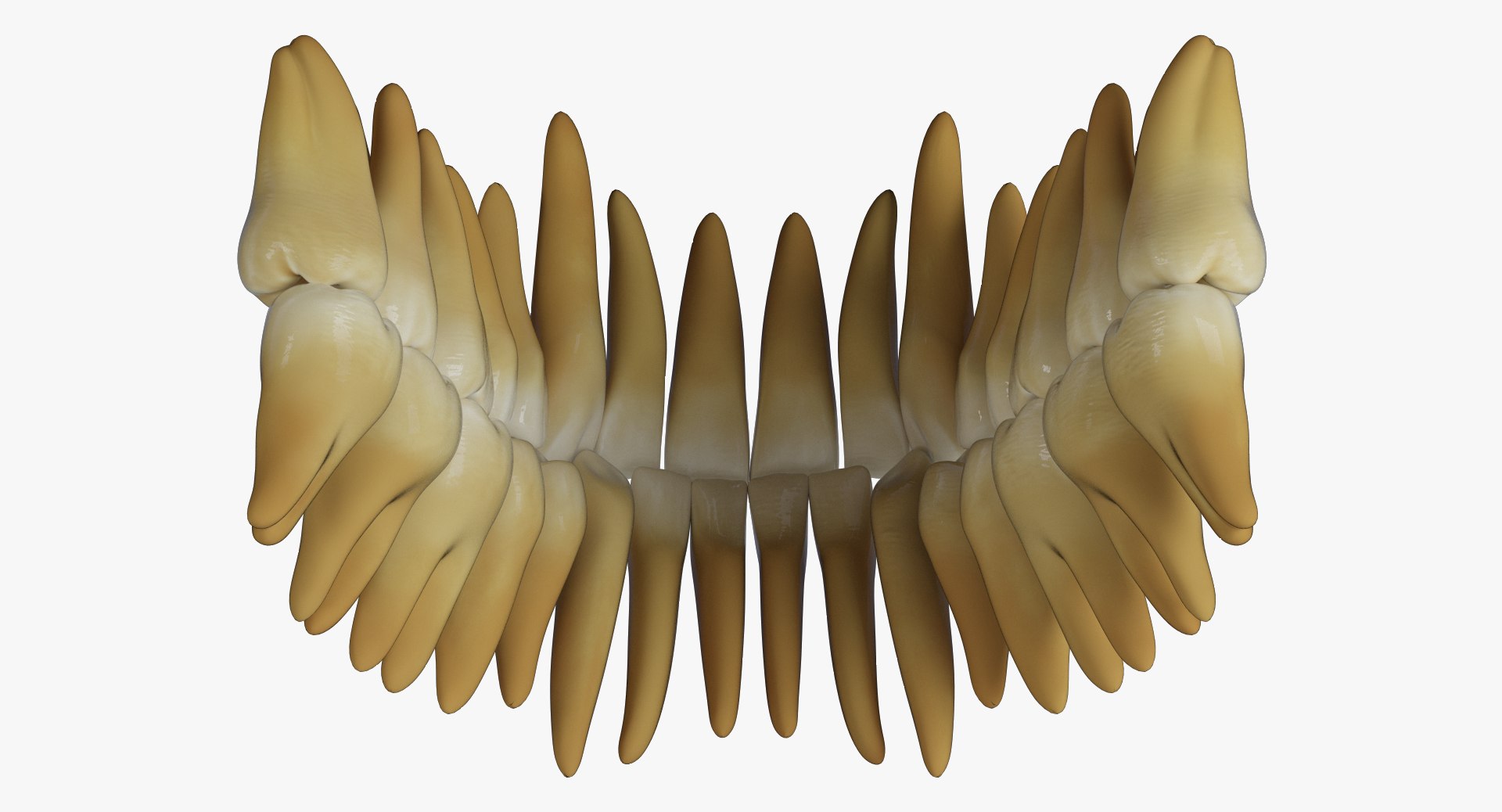 mouth realistic human model https://p.turbosquid.com/ts-thumb/il/rX5WOJ/yK1jbaKq/7/jpg/1492365542/1920x1080/fit_q87/0c20d498424623d8eaa84e7913e35c3d99fb424e/7.jpg