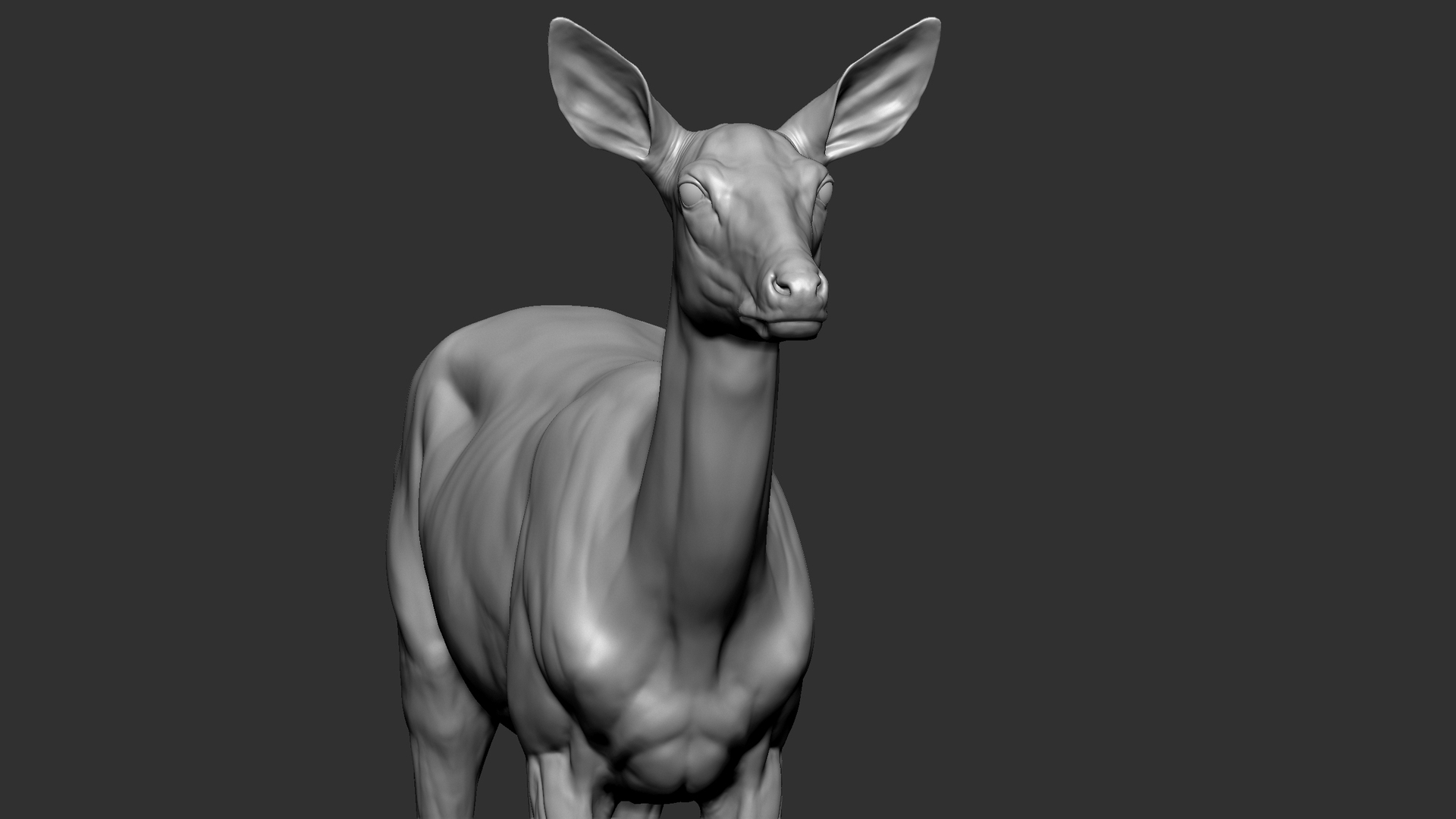 Deer Doe 3D model - TurboSquid 1770763