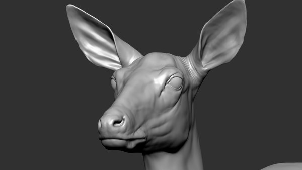 Deer Doe 3D model - TurboSquid 1770763