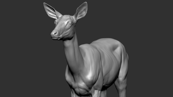 Deer Doe 3D model - TurboSquid 1770763