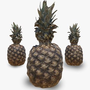 3D Pineapple model