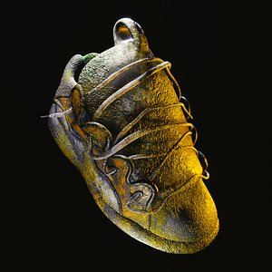 3D shoe skate osiris model