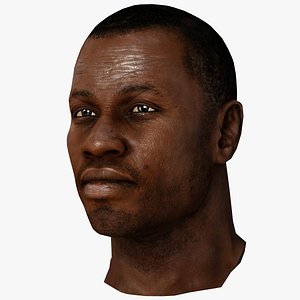 Human Head (Male)