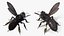 Black Bee Fur