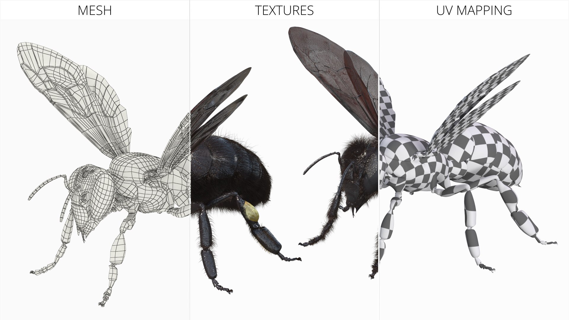 Black Bee Fur model https://p.turbosquid.com/ts-thumb/im/8SqFtB/en/black_bee_fur_009/jpg/1757574163/1920x1080/fit_q87/e9fbecf4e80f3c9b81c79d8789cb45ba9b37e704/black_bee_fur_009.jpg