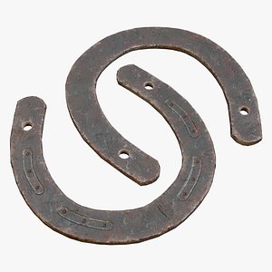 Old Rusty Horseshoe