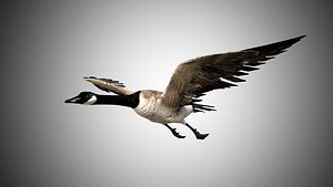 Goose rigged low poly