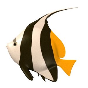 tropical fish 3d model