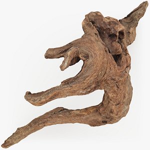 Driftwood Piece 01 3D model