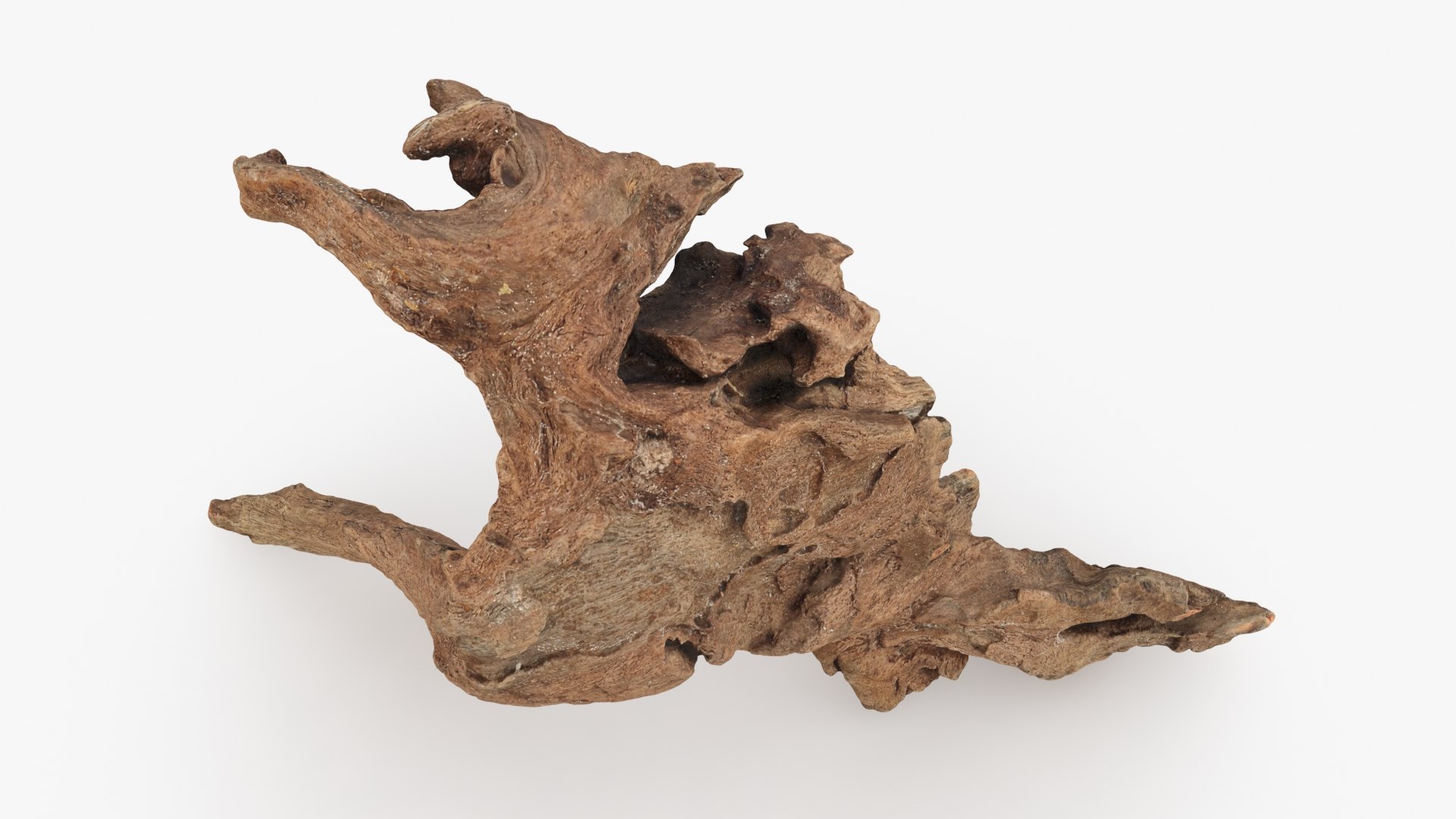 Driftwood Piece 01 3D model https://p.turbosquid.com/ts-thumb/im/OkfnRr/pG/driftwood01_a0001/jpg/1735379033/1920x1080/fit_q87/82e13d02ee48dab3b3ef8d0e51d47e3a304ee5ce/driftwood01_a0001.jpg