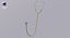 Stethoscope Collection