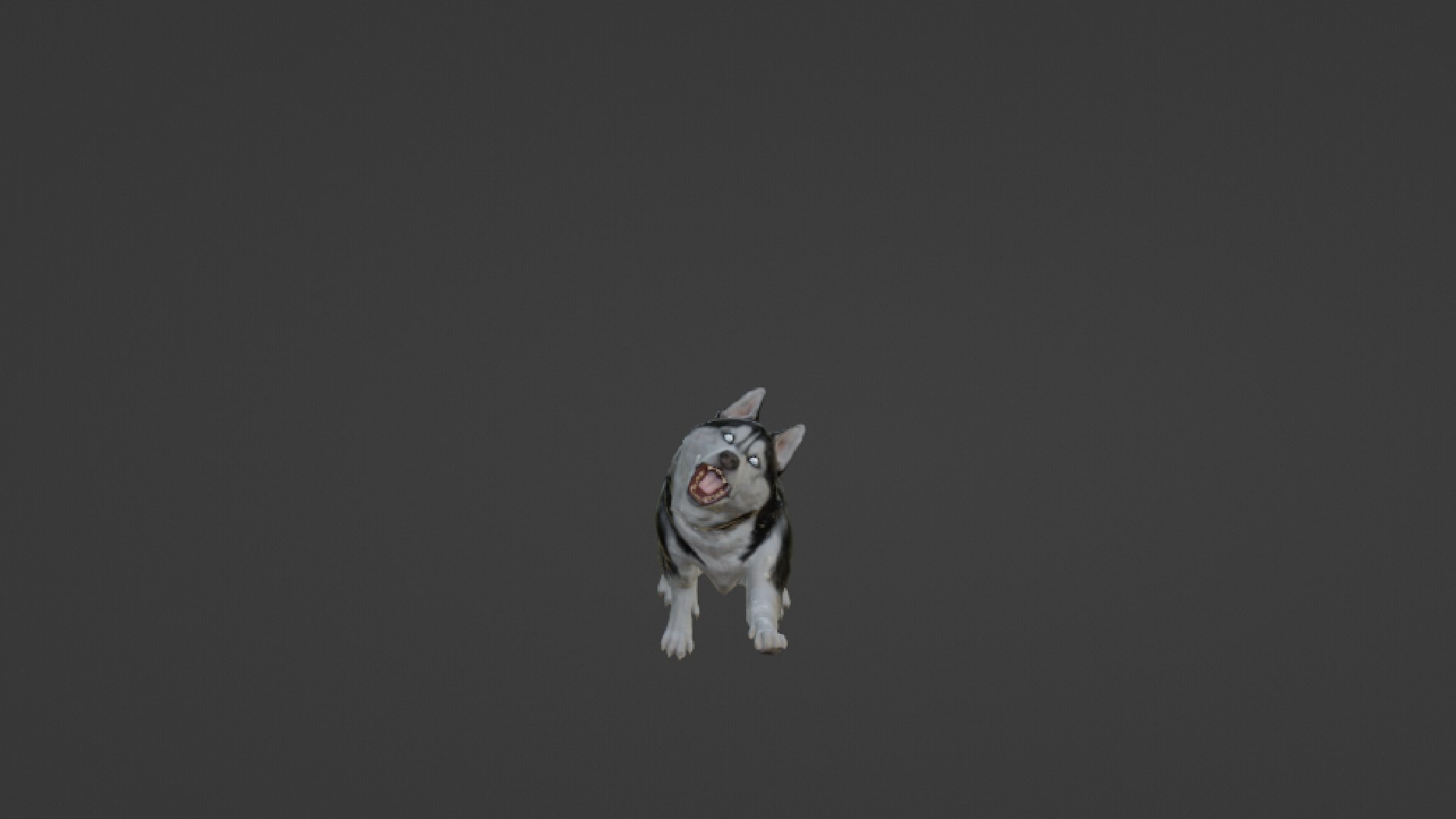 Wolf 3D https://p.turbosquid.com/ts-thumb/im/dxSPfo/0C/untitled20/jpg/1655121636/1920x1080/fit_q87/7514d82c8037c9051b5458cb5fe37194c8c62d22/untitled20.jpg