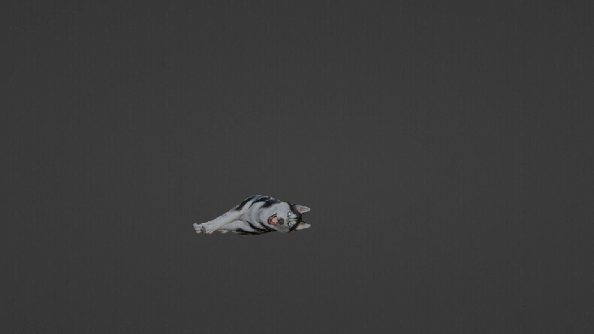 Wolf 3D https://p.turbosquid.com/ts-thumb/im/dxSPfo/B8/untitled19/jpg/1655121635/1920x1080/fit_q87/bbe73943ab8fdbaf49214d87d7a9d97b1a1d8ffe/untitled19.jpg