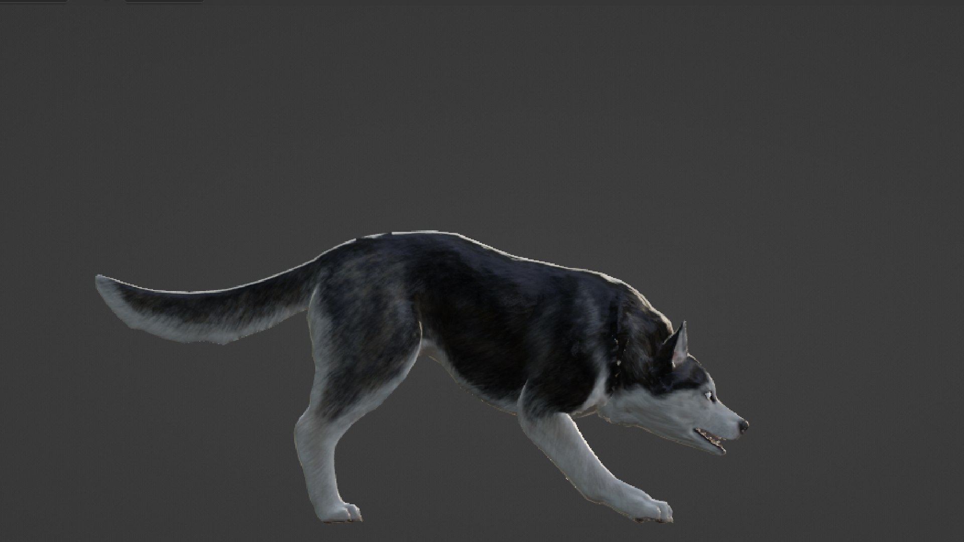 Wolf 3D https://p.turbosquid.com/ts-thumb/im/dxSPfo/EQ/untitled15/jpg/1655121632/1920x1080/fit_q87/c6700c1cd66c09b2c0ac57e6b02a30887cfb971a/untitled15.jpg