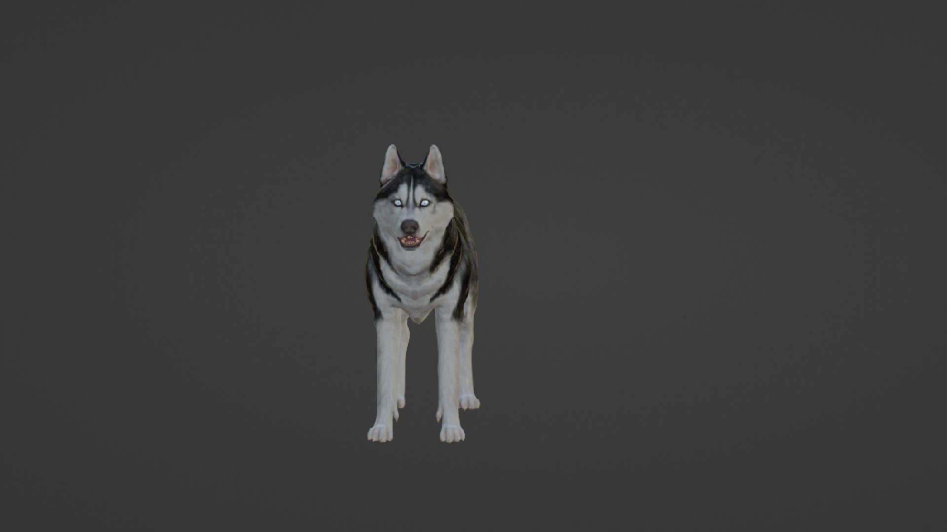 Wolf 3D https://p.turbosquid.com/ts-thumb/im/dxSPfo/Hc/13/jpg/1655121583/1920x1080/fit_q87/c32003c264d524fefb9203992d95751d2ef2bf48/13.jpg