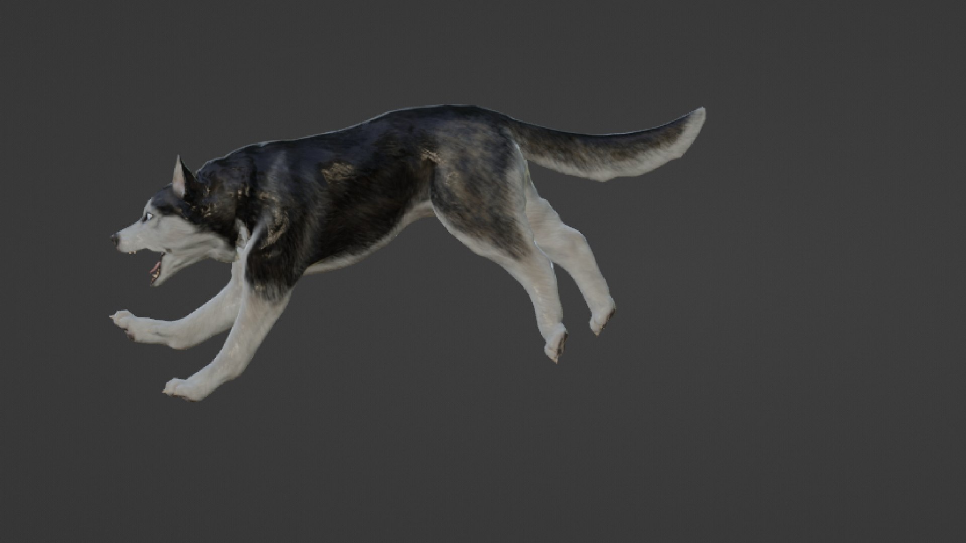Wolf 3D https://p.turbosquid.com/ts-thumb/im/dxSPfo/L4/untitled23/jpg/1655121656/1920x1080/fit_q87/5afded4c9bd616cb597fa00c98fb3b5fea1c346a/untitled23.jpg
