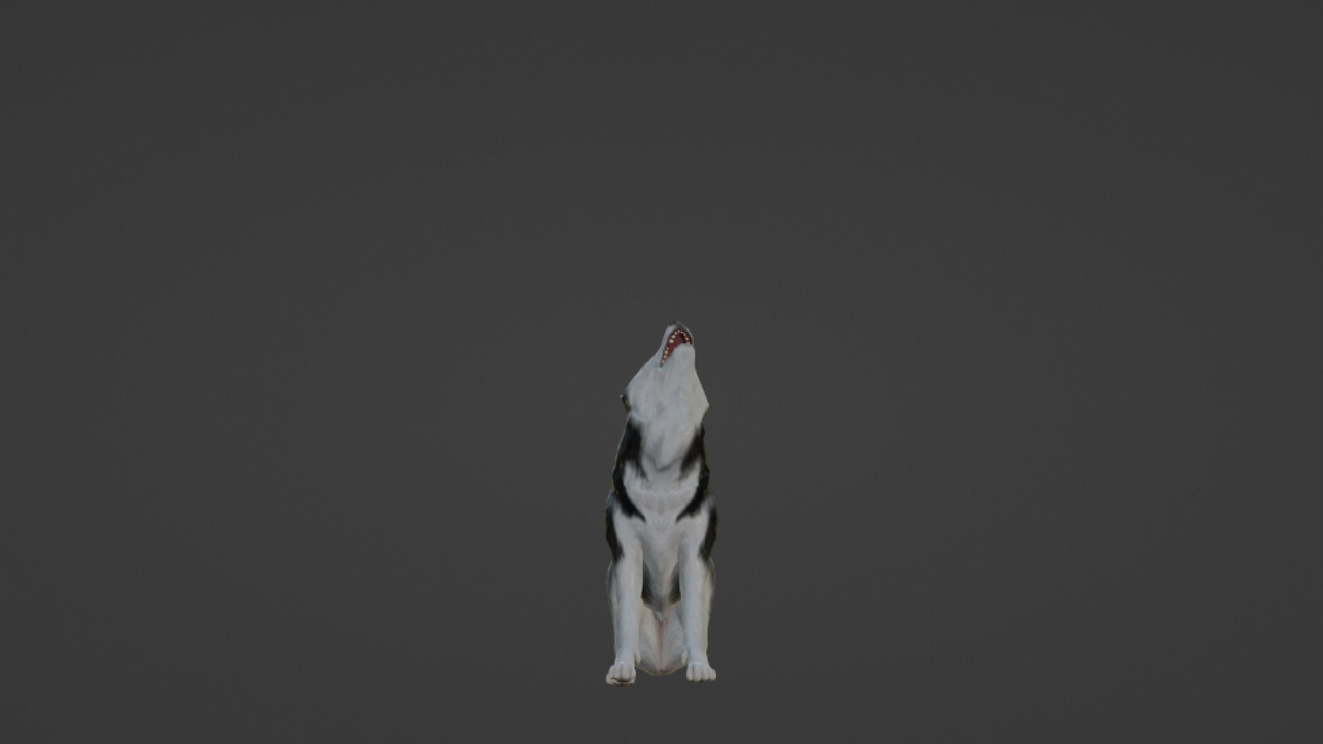 Wolf 3D https://p.turbosquid.com/ts-thumb/im/dxSPfo/nv/untitled2/jpg/1655121585/1920x1080/fit_q87/137c141bd07c56afbe8fab4f78b4b8ee60a865cc/untitled2.jpg