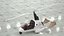 Autogiro Nisus