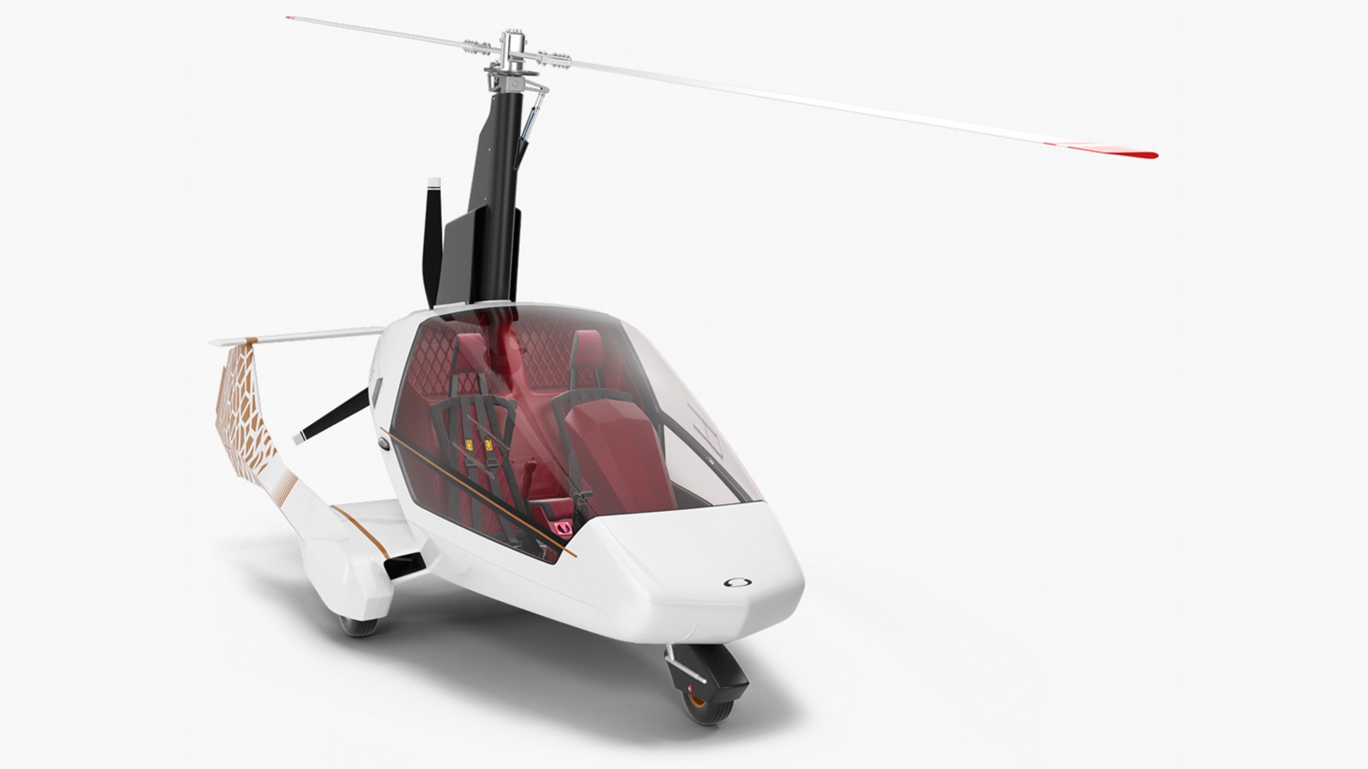 Nisus Gyroplane 3D model preview