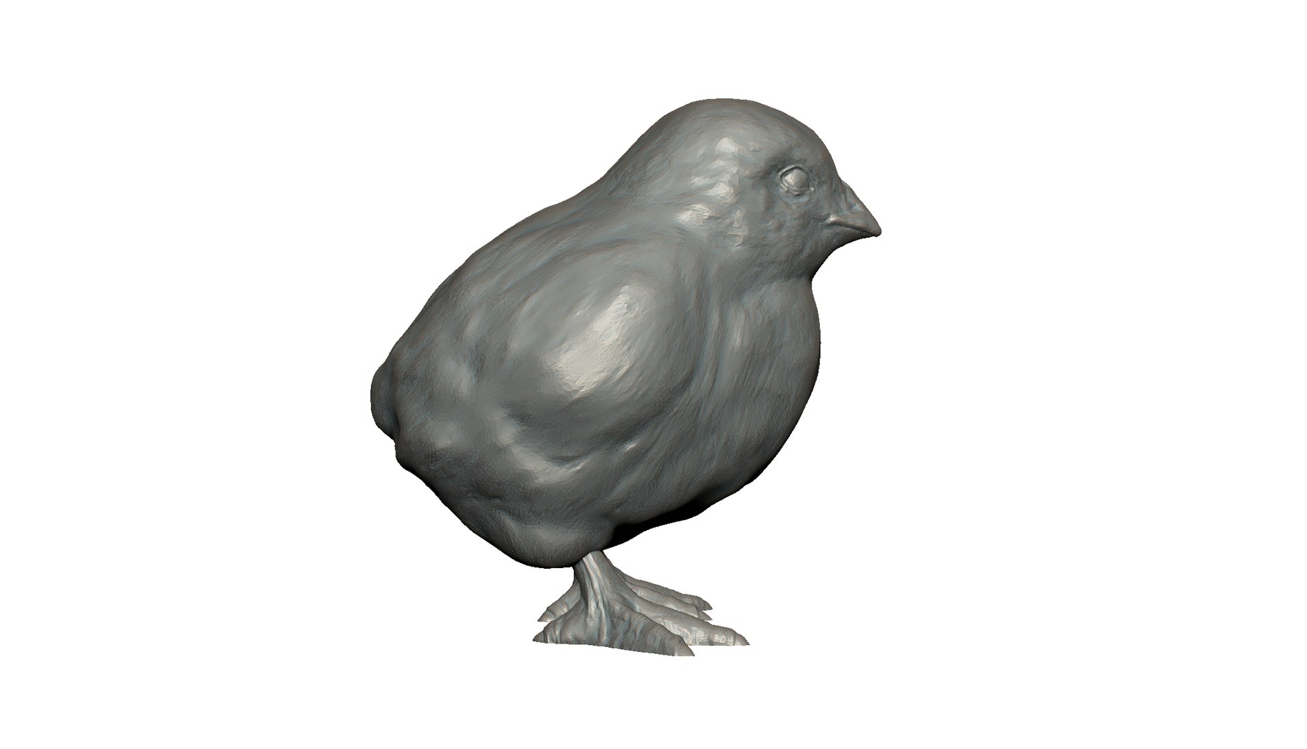 Chick 3D Model - TurboSquid 2342042