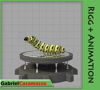 Monarch Larva