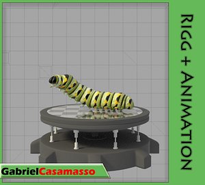 Monarch Larva