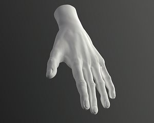 Male Hand High-poly