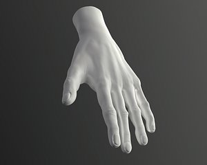 Male Hand High-poly