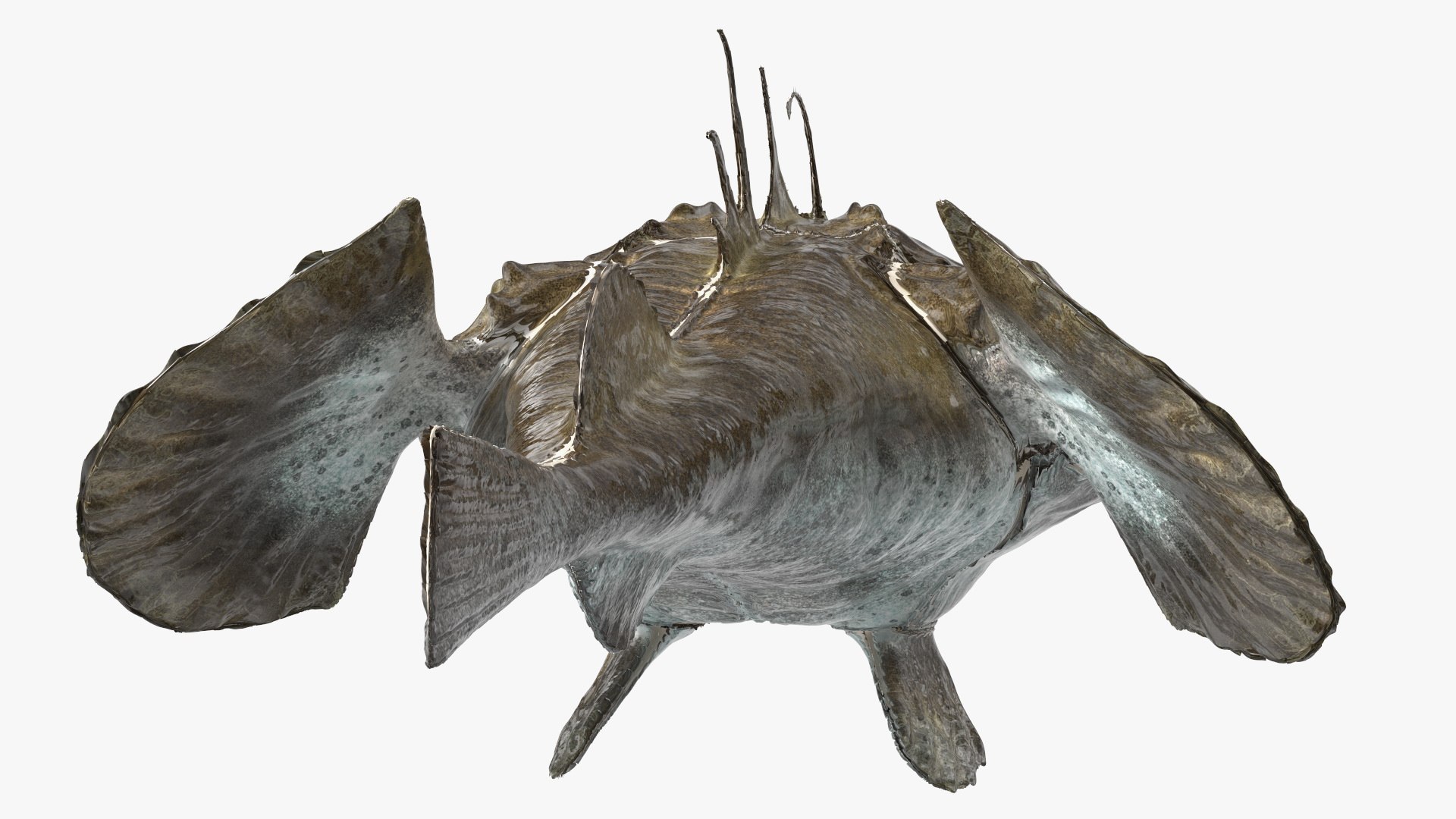 Lophius Piscatorius model https://p.turbosquid.com/ts-thumb/in/EejyPx/I3/lophiuspiscatoriusmb3dmodel013/jpg/1715641665/1920x1080/fit_q87/13a610c04b0580bfeb8c61e84e50b94cb494aa4f/lophiuspiscatoriusmb3dmodel013.jpg