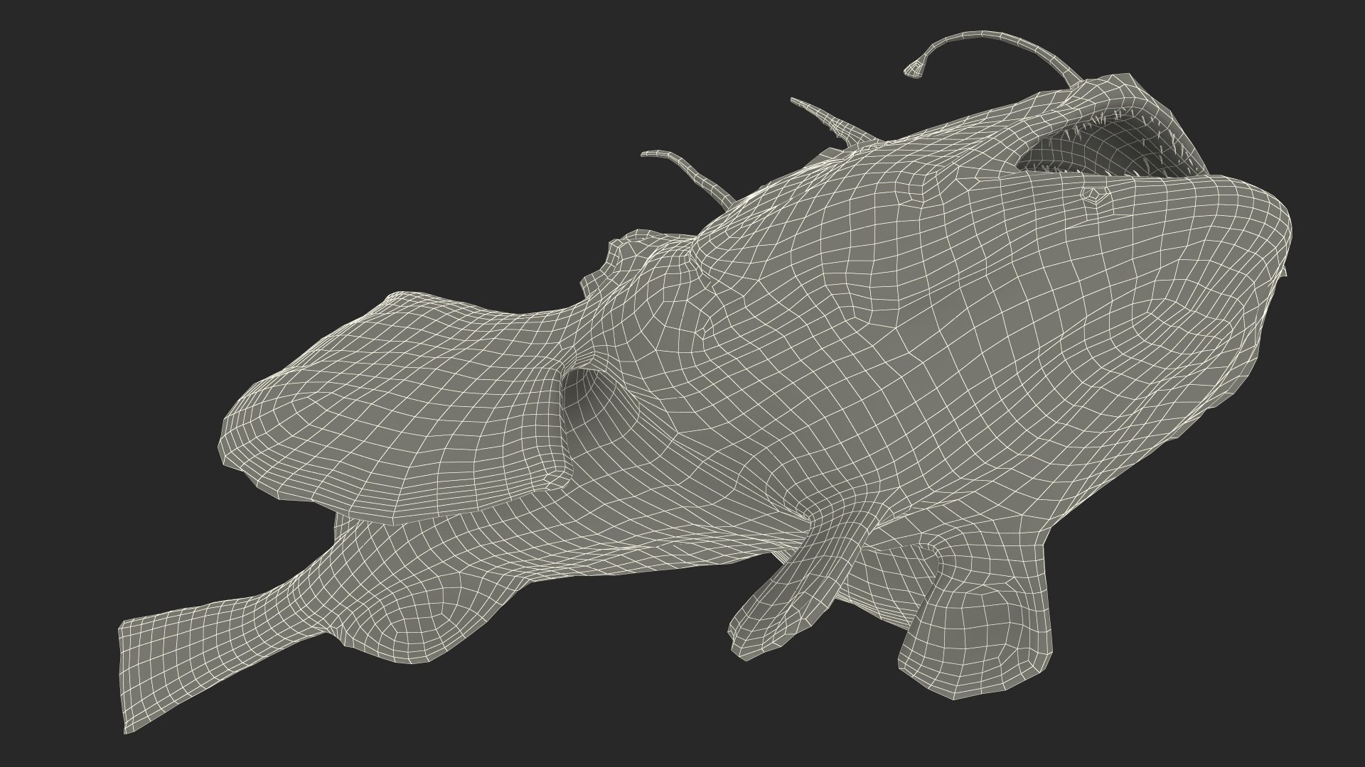 Lophius Piscatorius model https://p.turbosquid.com/ts-thumb/in/EejyPx/K6/lophiuspiscatoriusmb3dmodel030/jpg/1715641716/1920x1080/fit_q87/f74aab18097ce538d0a818cad77160402dac5bd6/lophiuspiscatoriusmb3dmodel030.jpg