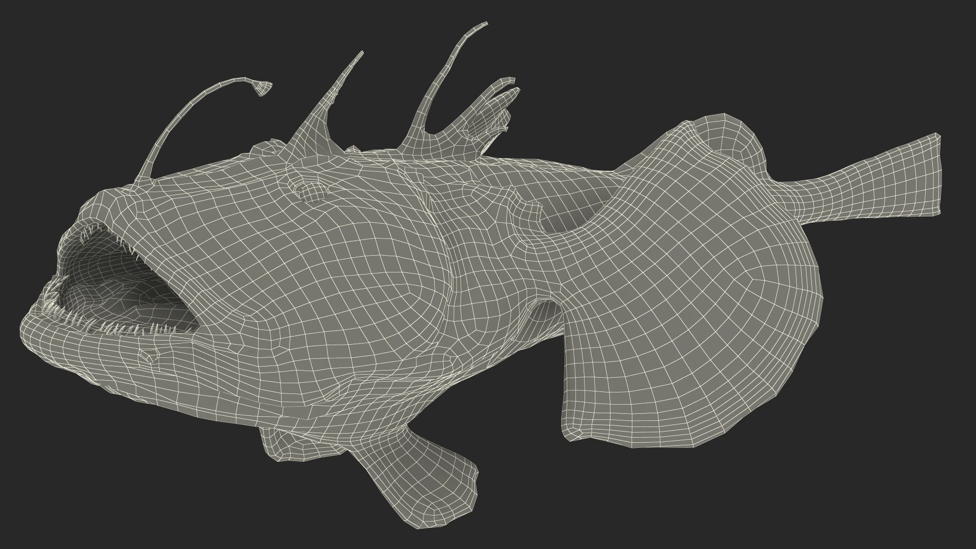 Lophius Piscatorius model https://p.turbosquid.com/ts-thumb/in/EejyPx/PU/lophiuspiscatoriusmb3dmodel028/jpg/1715641710/1920x1080/fit_q87/8b80d4136571dbcb45aec459754b6e124f393904/lophiuspiscatoriusmb3dmodel028.jpg