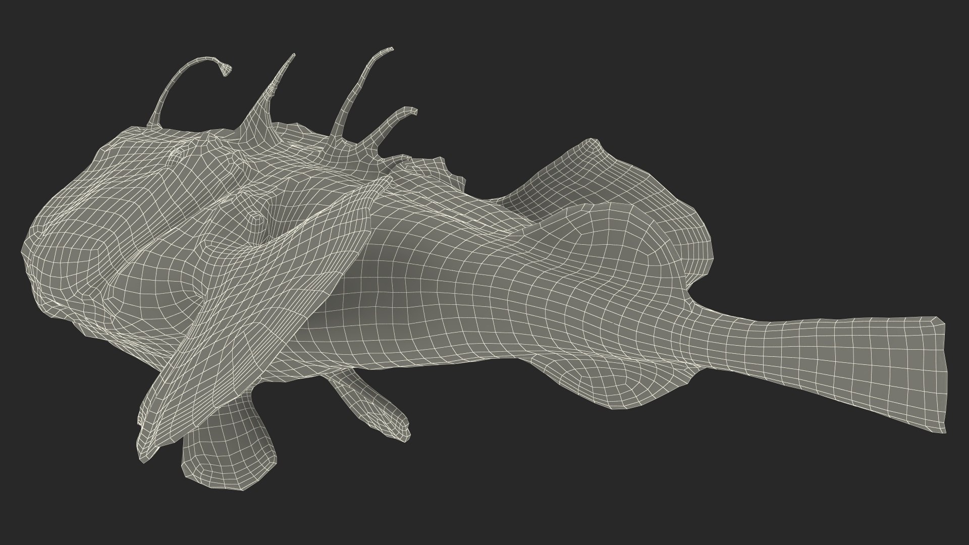 Lophius Piscatorius model https://p.turbosquid.com/ts-thumb/in/EejyPx/Yy/lophiuspiscatoriusmb3dmodel029/jpg/1715641713/1920x1080/fit_q87/6b847ac6d5102baca65d222c035b7a265d8c28a7/lophiuspiscatoriusmb3dmodel029.jpg