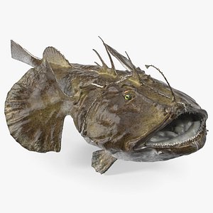 Lophius Piscatorius model