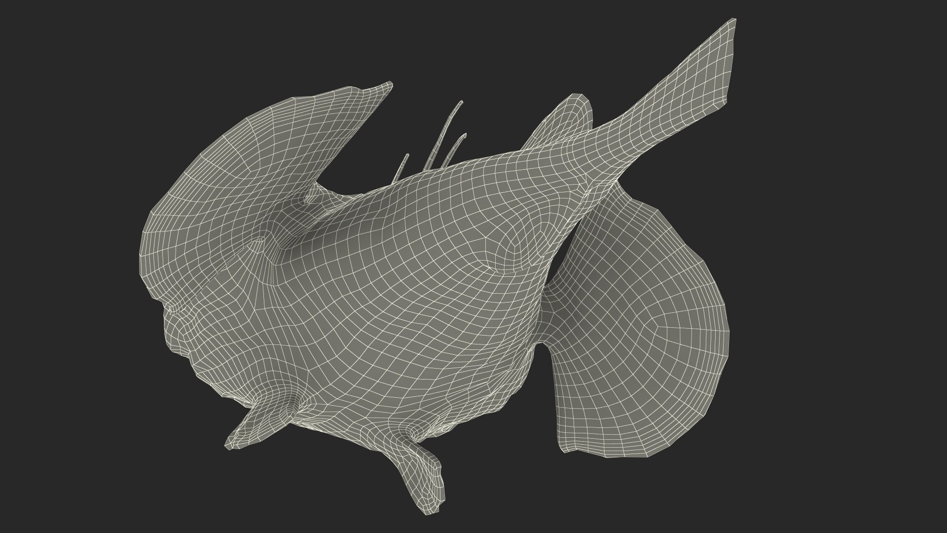 Lophius Piscatorius model https://p.turbosquid.com/ts-thumb/in/EejyPx/de/lophiuspiscatoriusmb3dmodel032/jpg/1715641721/1920x1080/fit_q87/54944302a752d81fe4b3c5ba4312b213ab79df63/lophiuspiscatoriusmb3dmodel032.jpg