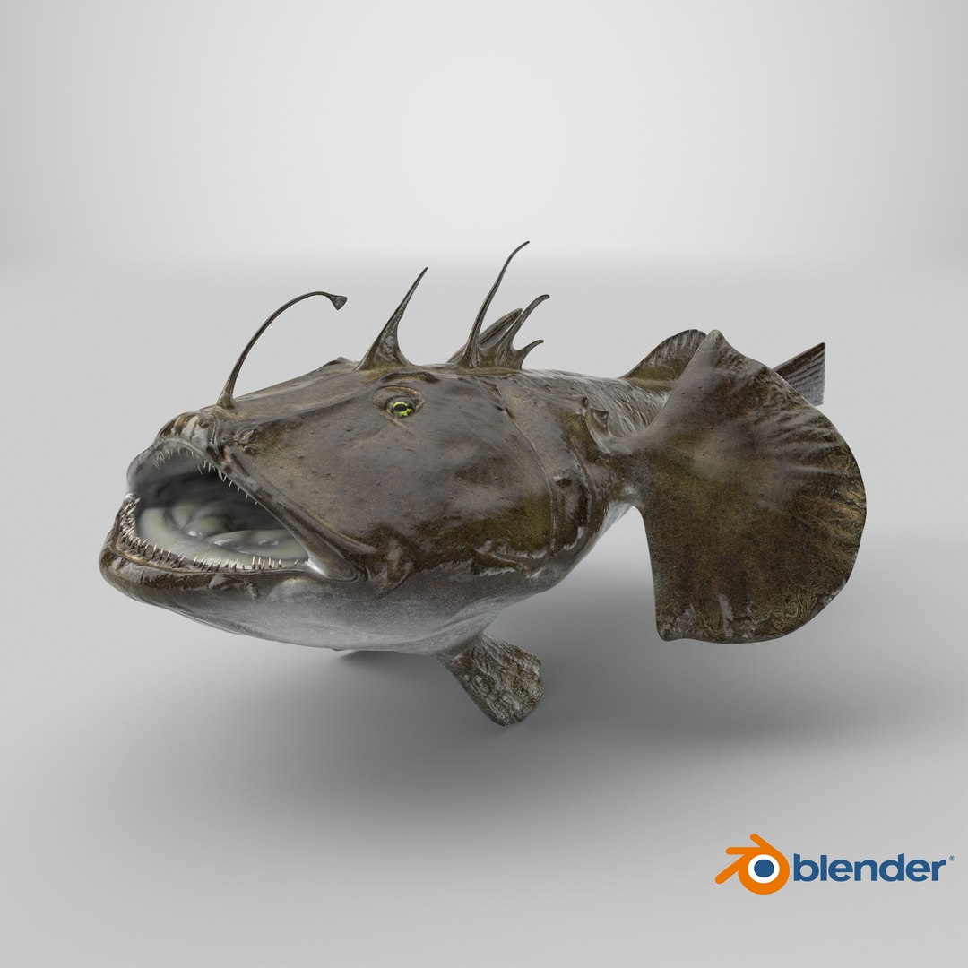 Lophius Piscatorius model https://p.turbosquid.com/ts-thumb/in/EejyPx/ss/stemcell_blender_cycles_render/png/1717507829/1920x1080/fit_q87/e5990e4285e1a9aa7e4189745b226a080e3b3861/stemcell_blender_cycles_render.jpg