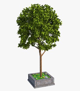 tree model