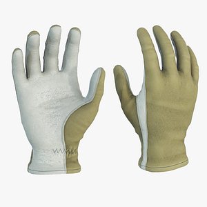 3D model Nomex Flight Gloves