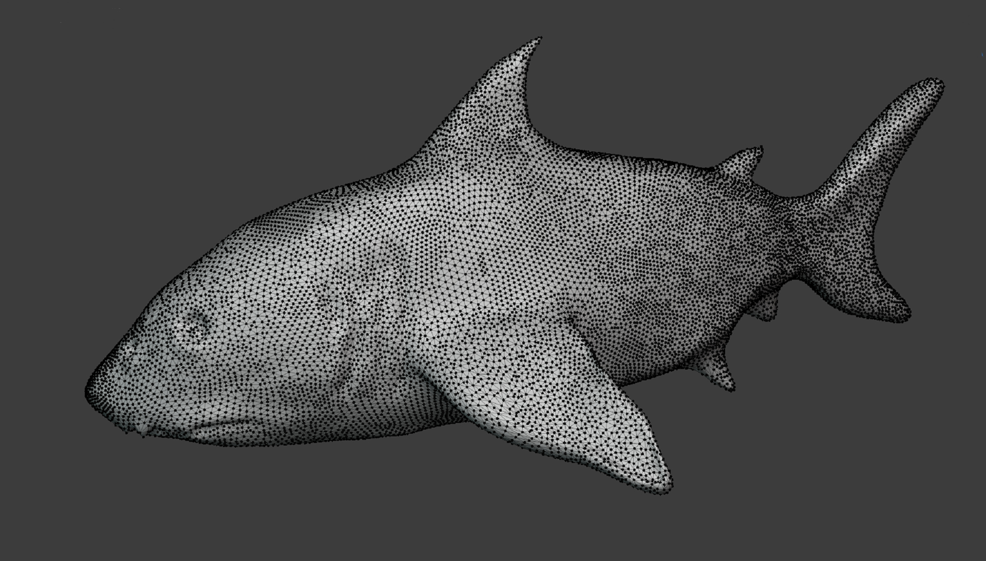 Акула 3d модель