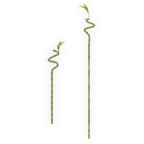 obj lucky bamboo stick