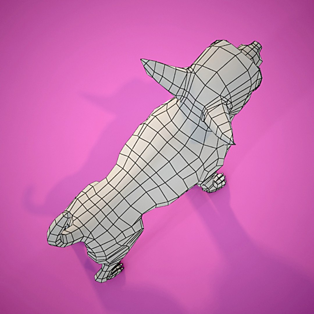 chihuahua dog animation 3d model https://p.turbosquid.com/ts-thumb/in/jDEJRL/ARRsYzjX/chihuahuaw0004/jpg/1260817377/1920x1080/fit_q87/fab2ad23d2be00d93511ce179dc51ff6429b49da/chihuahuaw0004.jpg