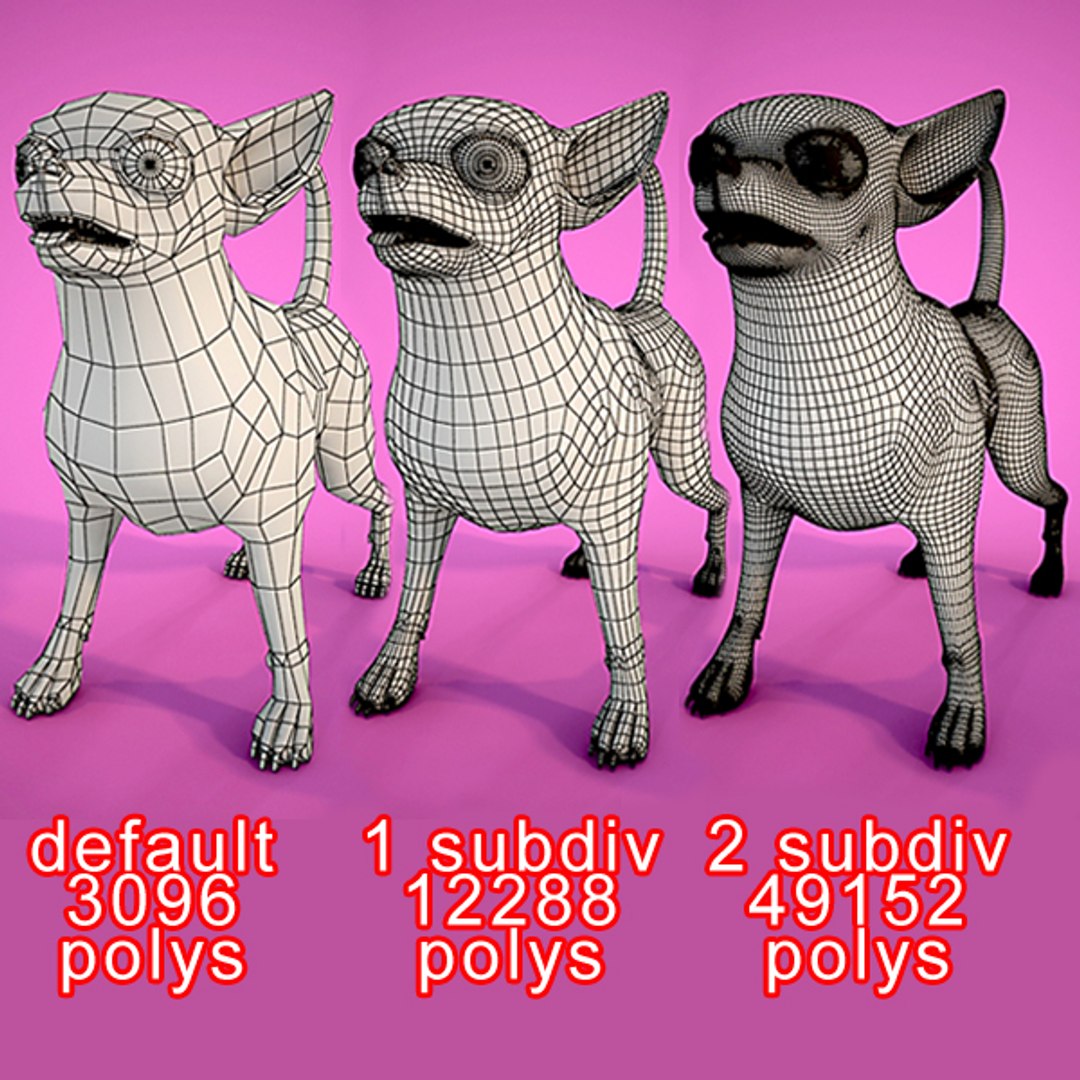 chihuahua dog animation 3d model https://p.turbosquid.com/ts-thumb/in/jDEJRL/GWHTckrK/chihuahuaw0005copy/jpg/1260817201/1920x1080/fit_q87/51f71bb589b9f5053a308a9375c1d931201af1d4/chihuahuaw0005copy.jpg
