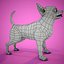 Chihuahua in grey