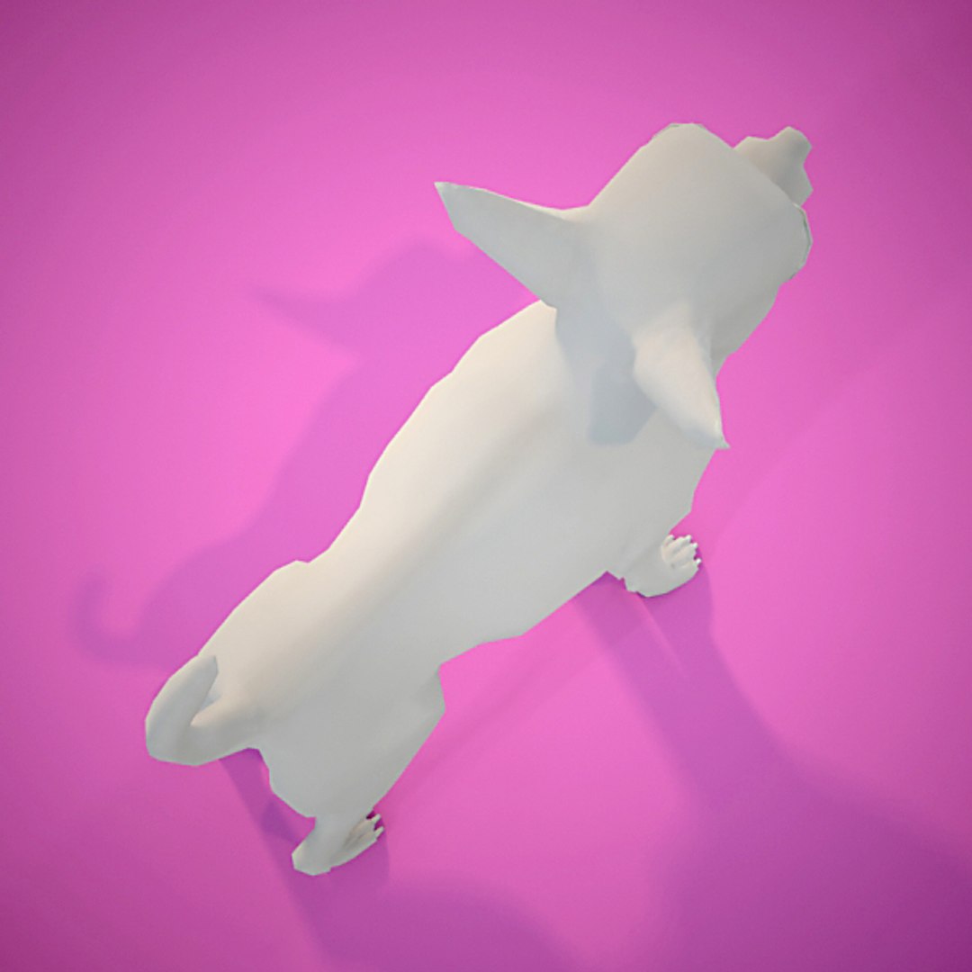 chihuahua dog animation 3d model https://p.turbosquid.com/ts-thumb/in/jDEJRL/qr35DnE3/chihuahuag0004/jpg/1260817350/1920x1080/fit_q87/4fb2d97babae48bc4a9900293fa04937a3c0635c/chihuahuag0004.jpg