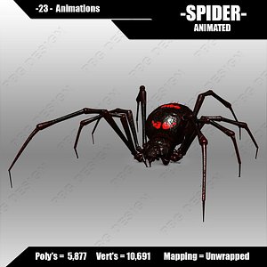 Spider