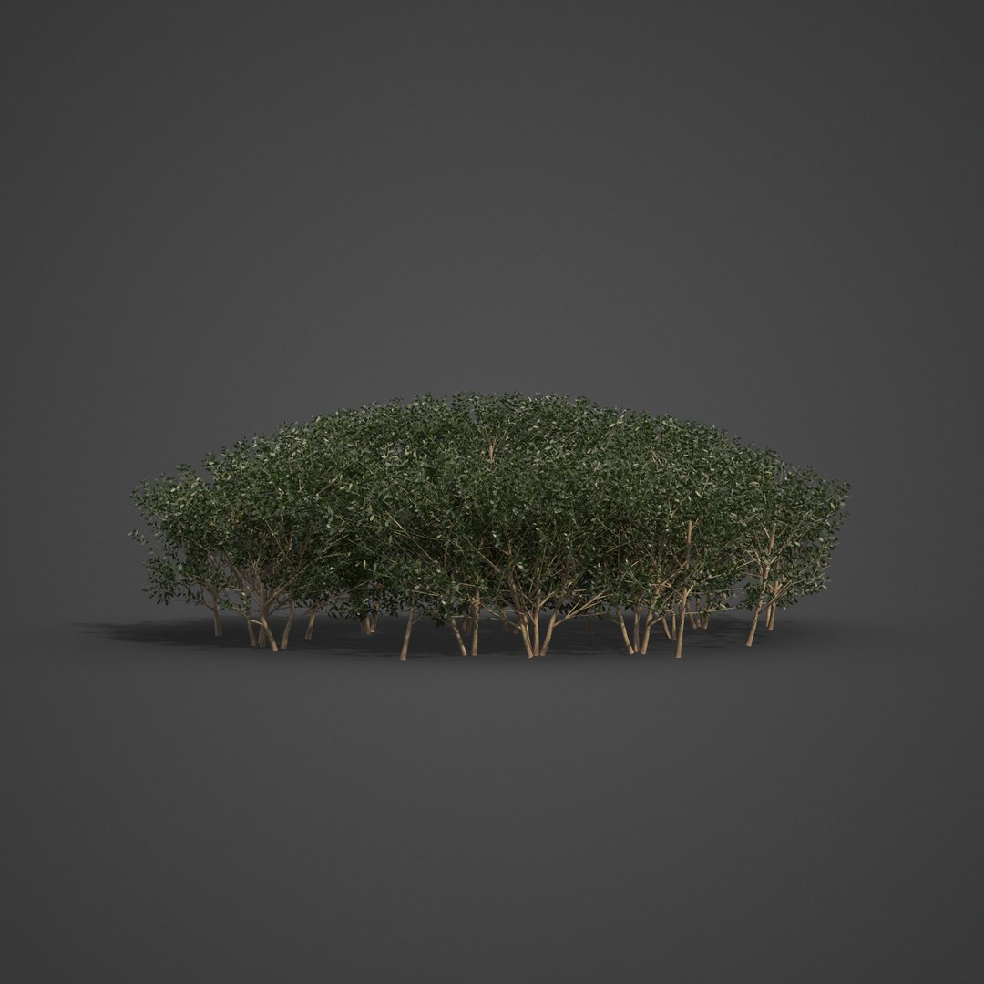 3D plants common boxwood hedges https://p.turbosquid.com/ts-thumb/in/zKaH1j/IY/ls03_02/png/1613070442/1920x1080/fit_q87/4a4eceabda2eb3e7f9ddd45cfa363523537379c6/ls03_02.jpg