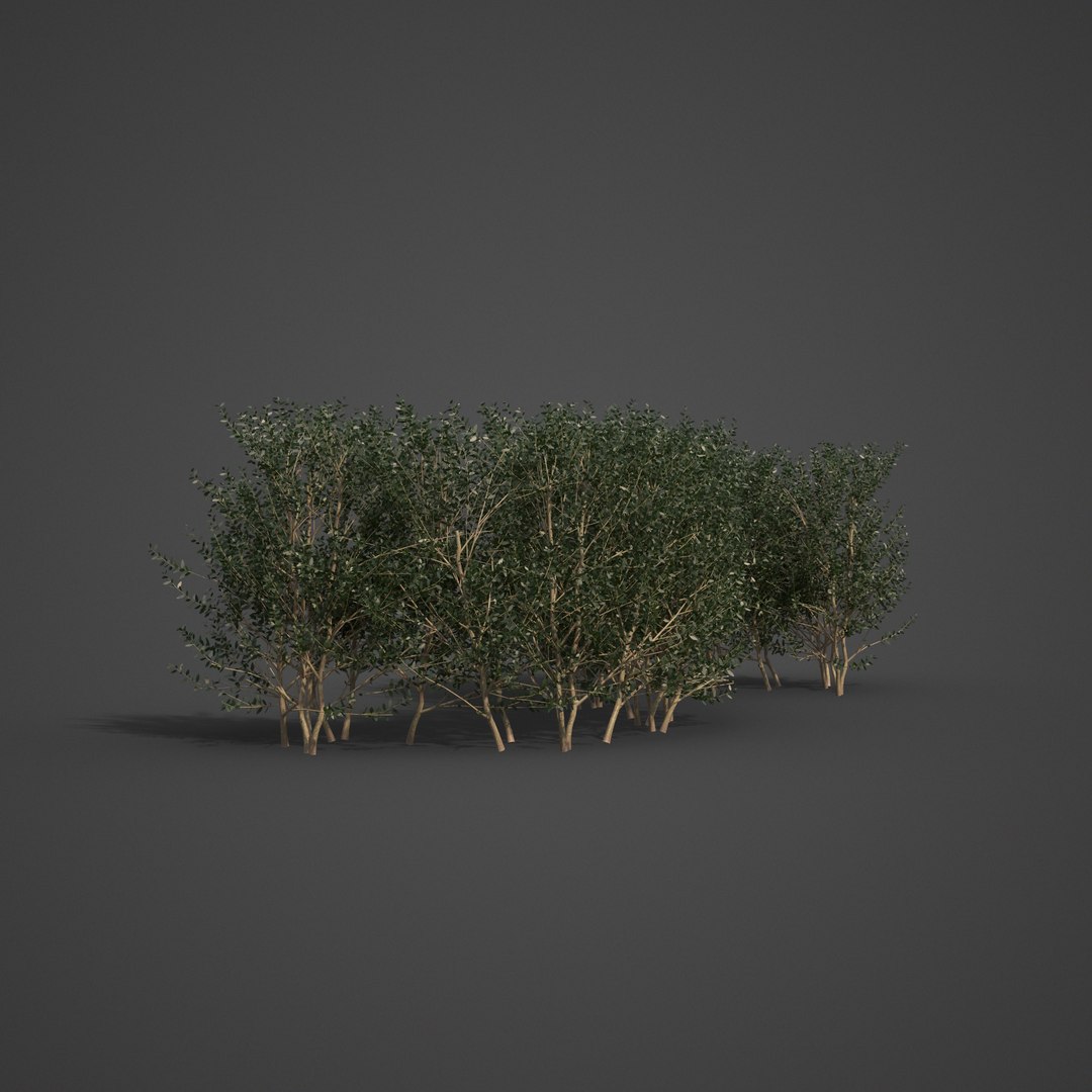 3D plants common boxwood hedges https://p.turbosquid.com/ts-thumb/in/zKaH1j/Oz/ls03_03/png/1613070442/1920x1080/fit_q87/4778aabcbc1b3066208e1183817993f61d16917d/ls03_03.jpg