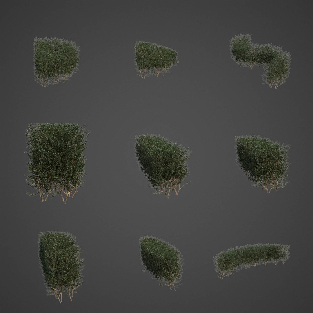 3D plants common boxwood hedges https://p.turbosquid.com/ts-thumb/in/zKaH1j/Rb/ls03full_13/jpg/1613085536/1920x1080/fit_q87/b9c28e709ff3a02a2dd23725cea4e3cc388eb7c6/ls03full_13.jpg