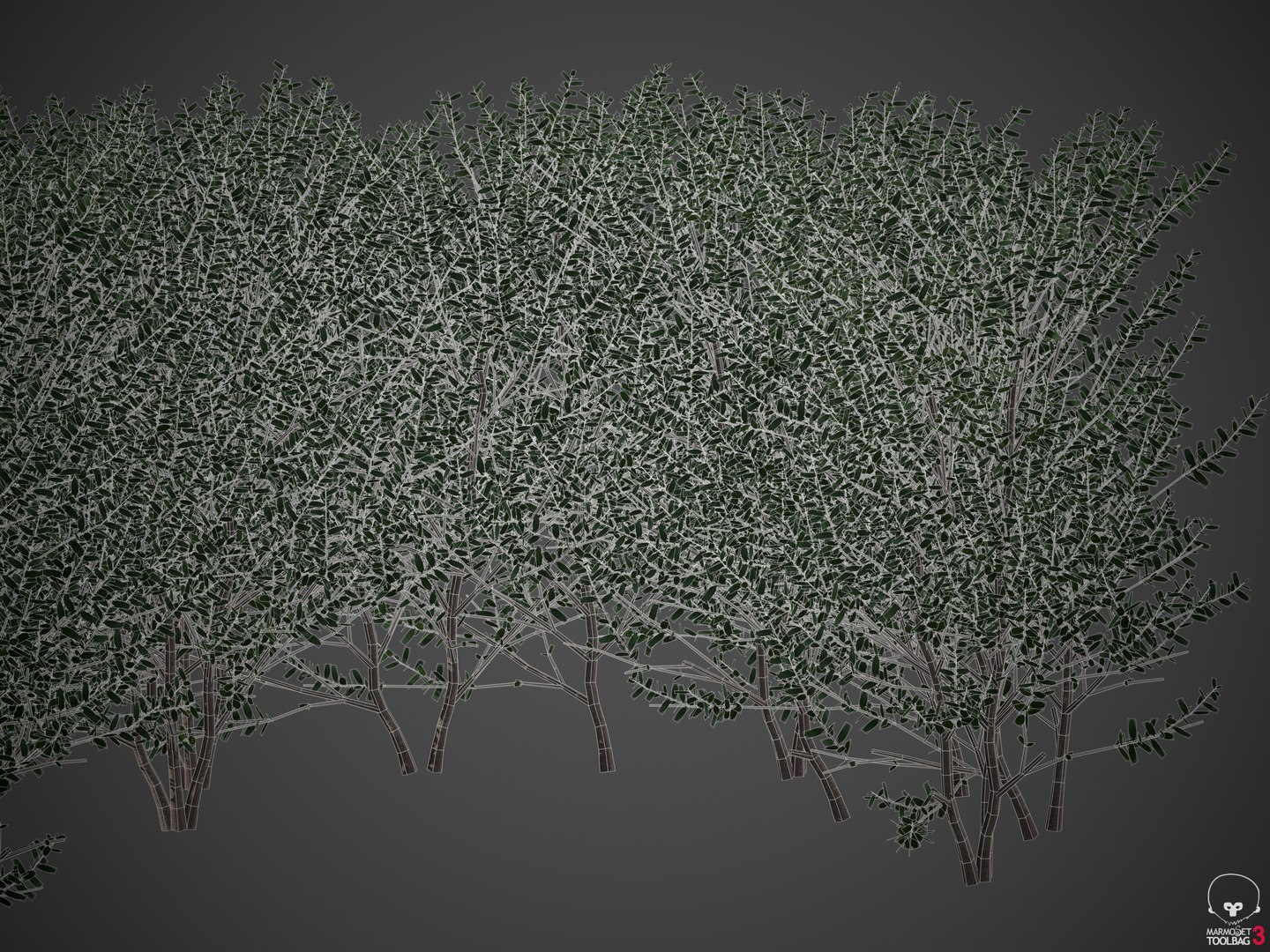 3D plants common boxwood hedges https://p.turbosquid.com/ts-thumb/in/zKaH1j/SK/screenshot001/png/1610556476/1920x1080/fit_q87/0dc5d60000b588a1b535940119dd2ad080b17fbc/screenshot001.jpg