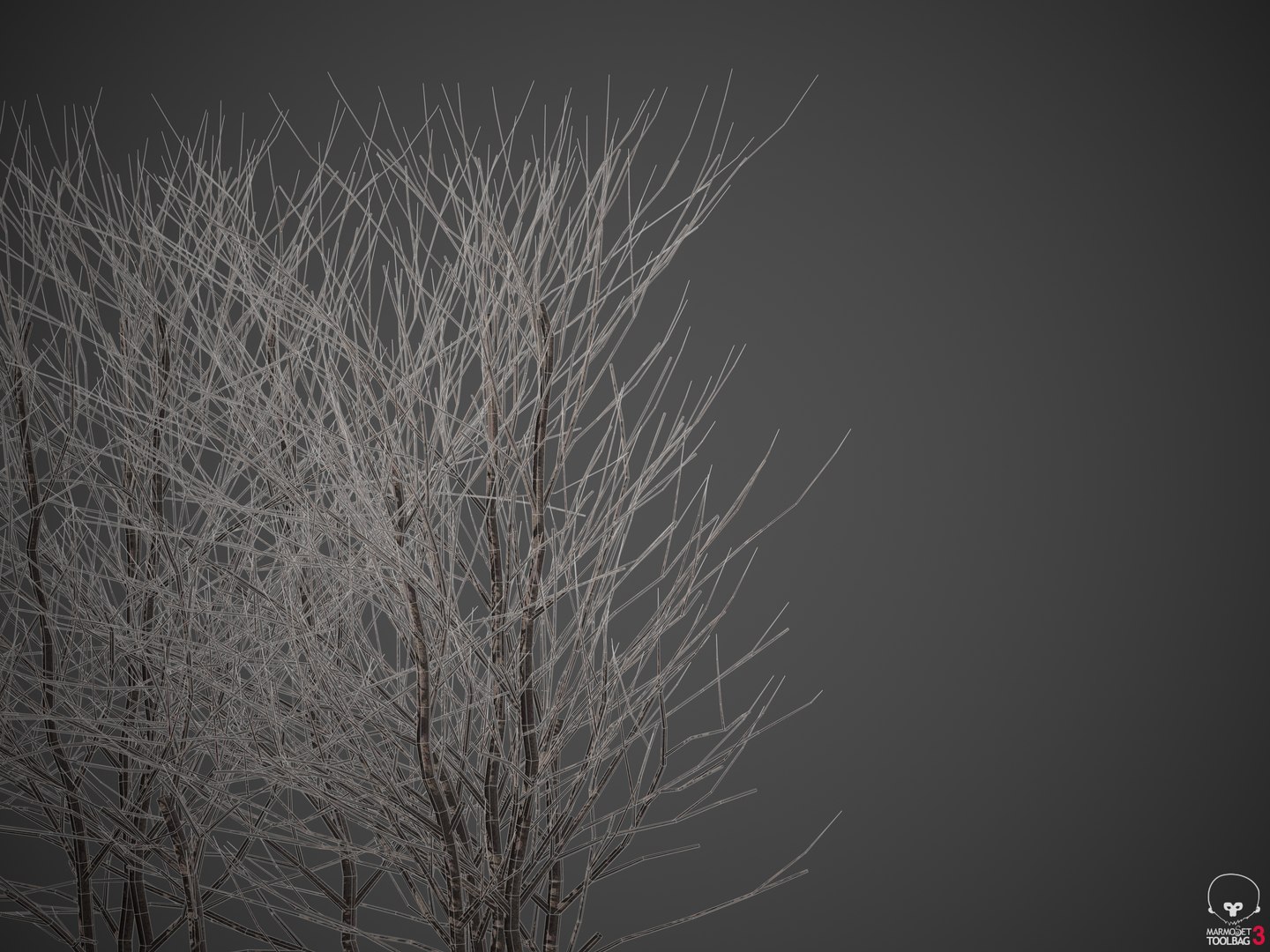 3D plants common boxwood hedges https://p.turbosquid.com/ts-thumb/in/zKaH1j/YQ/screenshot003/png/1610556486/1920x1080/fit_q87/aa8949edf77781379660f8a132a53785390b56df/screenshot003.jpg