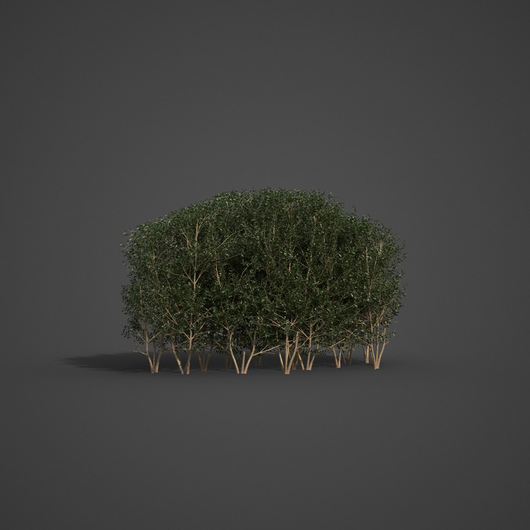 3D plants common boxwood hedges https://p.turbosquid.com/ts-thumb/in/zKaH1j/ZV/ls03_07/png/1613070442/1920x1080/fit_q87/a8d7c6fda801619ccb0cc9a6c2663126cb360251/ls03_07.jpg